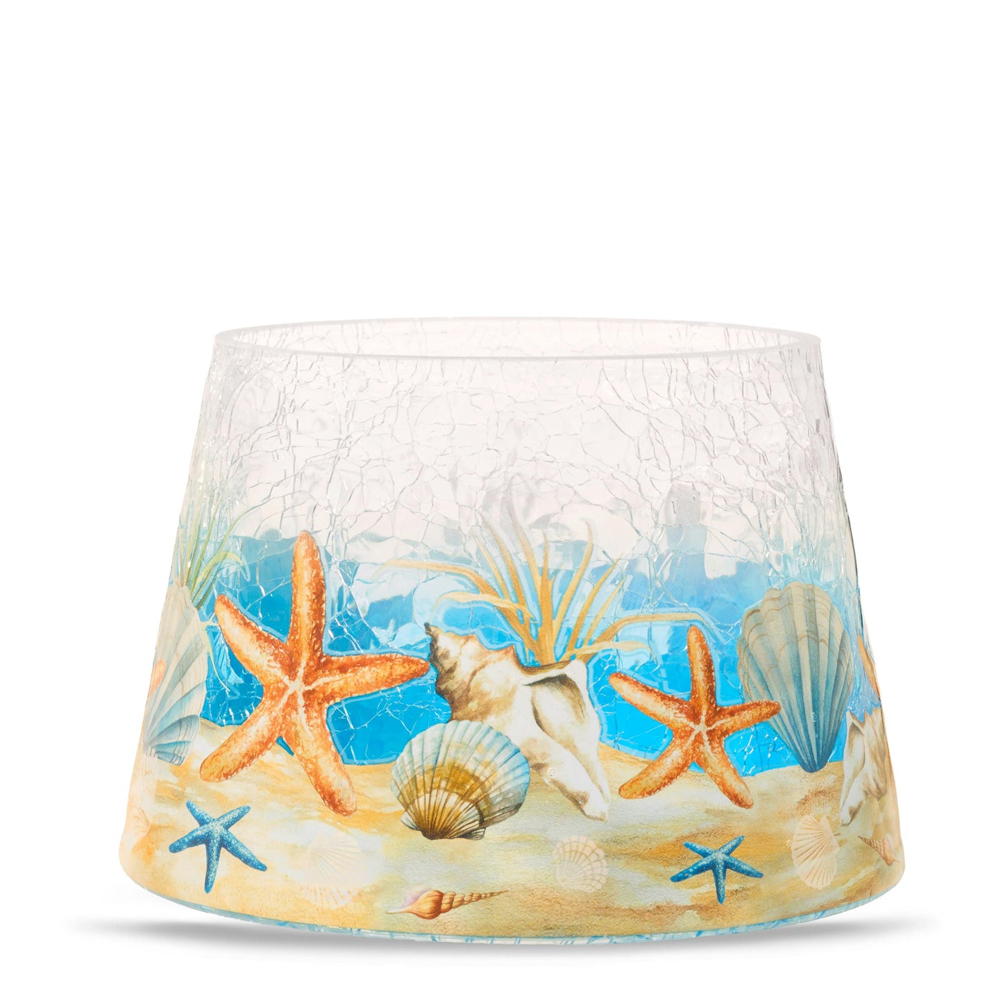 Seashell Jar Shade - W6BE