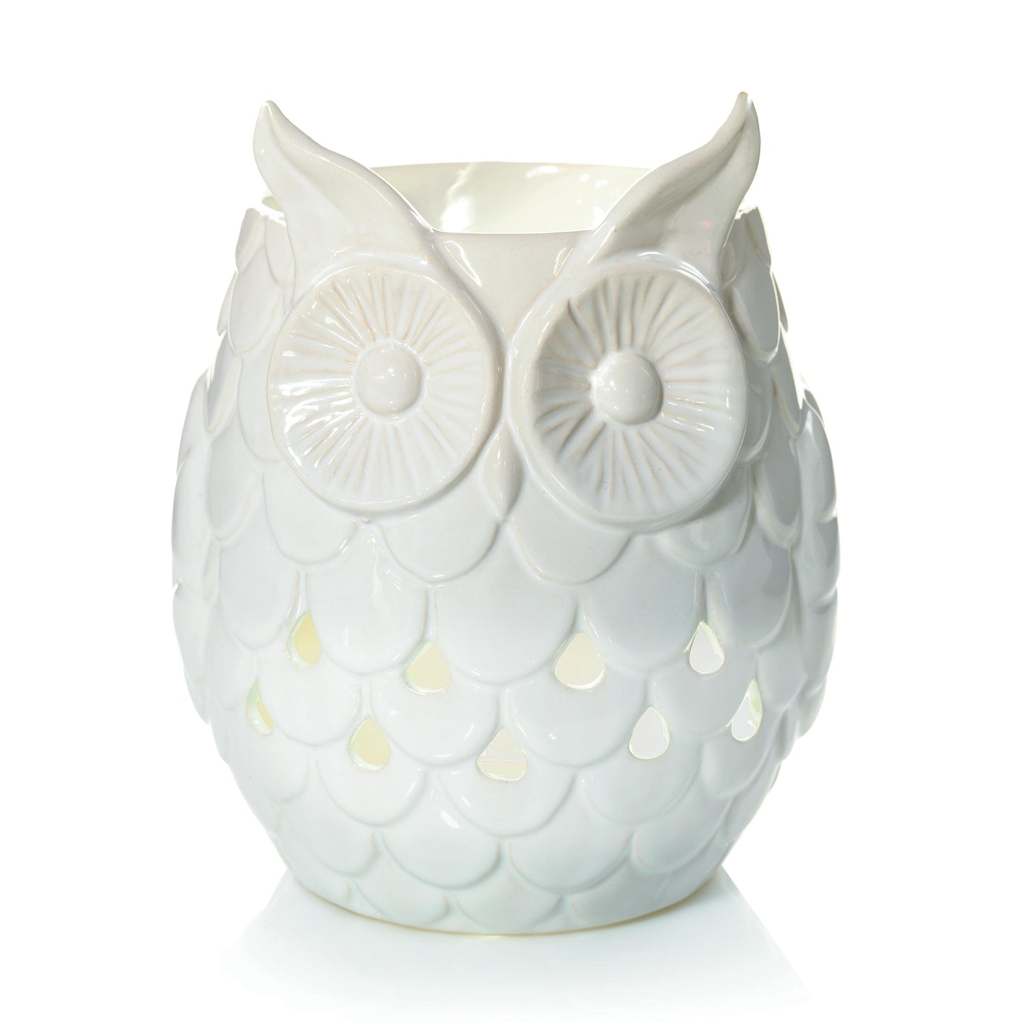 Owl - 3U6C